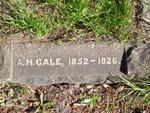 GALE A.H. 1852-1926