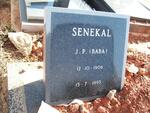 SENEKAL J.P. 1906-1995