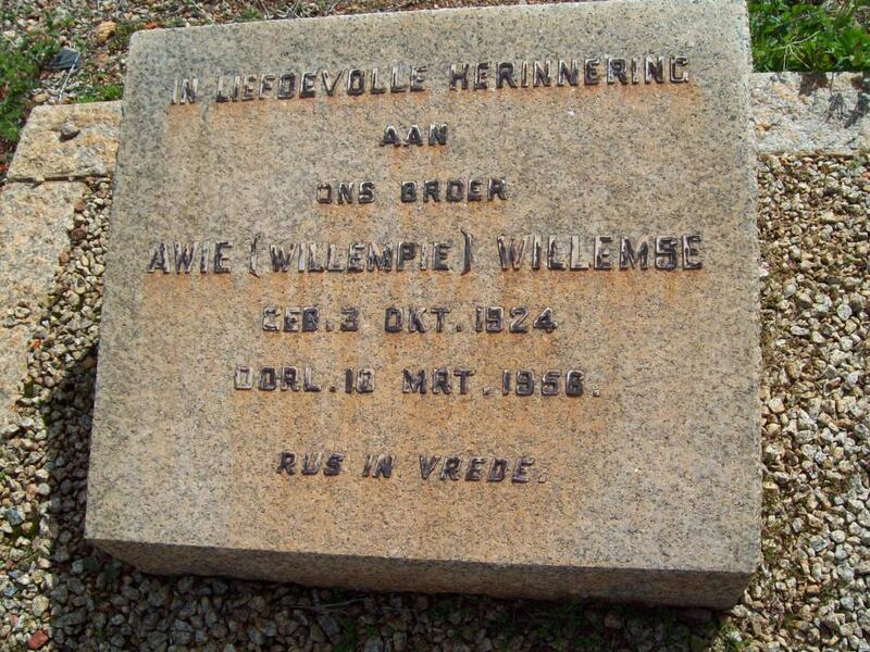 WILLEMSE Awie 1924-1956