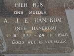 HANEKOM A.J.E. nee HANEKOM 1877-1946