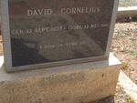 BRAND David Cornelius 1877-1961