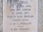 PIENAAR Jacobus 1900-1917