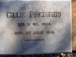 PRETORIUS Gillie 1904-1918