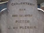 PLESSIS Pieter J., du