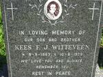 WITTEVEEN Kees F.J. 1953-1975