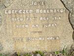 ROBERTSON John Ebenezer -1916