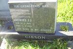 GIBSON Andries J.J. 1919-1984
