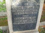 REX Joseph Oseland 1859-1935 & Maria Jane  1860-1951