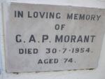 MORANT G.A.P. -1954
