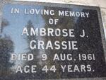 GRASSIE Ambrose J. -1961
