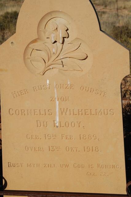 PLOOY Cornelis Wilhelmus, du 1889-1918
