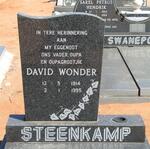 STEENKAMP David Wonder 1914-1995