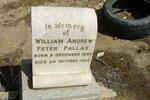 PALLAS William Andrew Peter 1880-1935