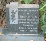 THOMPSON Sharon Iris 1965-