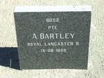 BARTLEY A. -1900