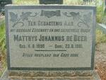 BEER Matthys Johannus, de 1890-1951