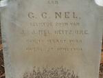NEL G.C. 1884-1904