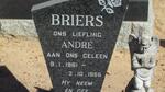 BRIERS André 1961-1966
