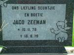 ZEEMAN Jaco 1978-1979