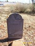 Gauteng, MERAFONG district, Carletonville, Welverdiend 97 IG, farm cemetery
