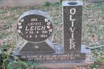 OLIVIER Leigh 1981-1984