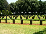 6. Overview on rows of graves