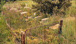 Free State, REITZ district, Hooggelegen 427, farm cemetery