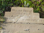 JOHNSON William Henry 1880-188?