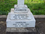JOHNSON Aloyious  -1913 & Caroline  -1909 