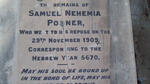 POSNER Samuel Nehemia  -1909