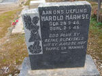 HARMSE Harold 1944-1945