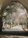 Gauteng, JOHANNESBURG, Braamfontein, Main cemetery
