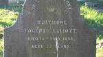 ELLIOTT Whitmore Fogerty -1895