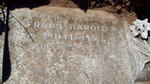 WILLIAMS Frank Harold 1857-1943