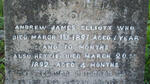 ELLIOTT Andrew James -1891 :: ELLIOTT Hettie -1892