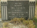 BLOUNT Dina Elizabeth nee GROENEWALD 1916-1960