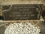 NAUDE Adrie  1928-1930