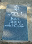 GOLDBLATT Tanchel 1915-1918