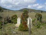 3. Van Zyl graves