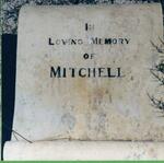 2. MITCHELL family plot