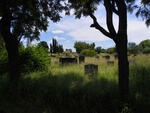 Limpopo, MODIMOLLE, New cemetery