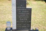 ? Daisy 1900-1983