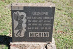 NIGRINI Desmond 1965-1967