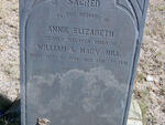 HILL Annie Elizabeth 1880-1881