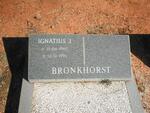 BRONKHORST Ignatius J. 1960-1991