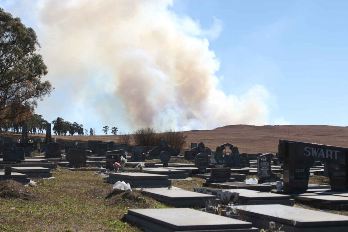 2. Overview / Oorsig