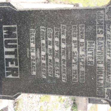 MUTER James Daword Holland 1889-1928 