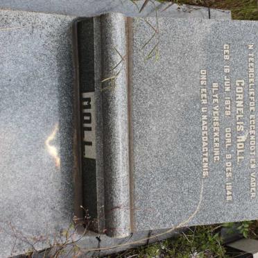 MOLL Cornelis 1879-1948