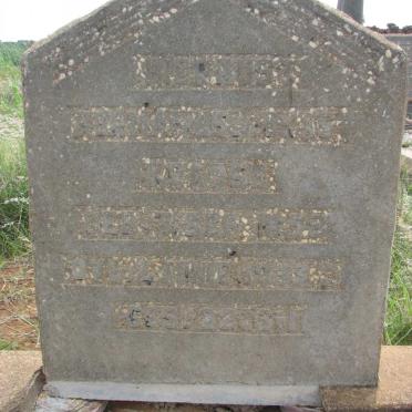 KRAUSE Hermanus Lukas 1885-1933