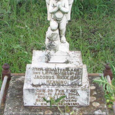 HENNING Jacobus Nicolaas 1940-1940